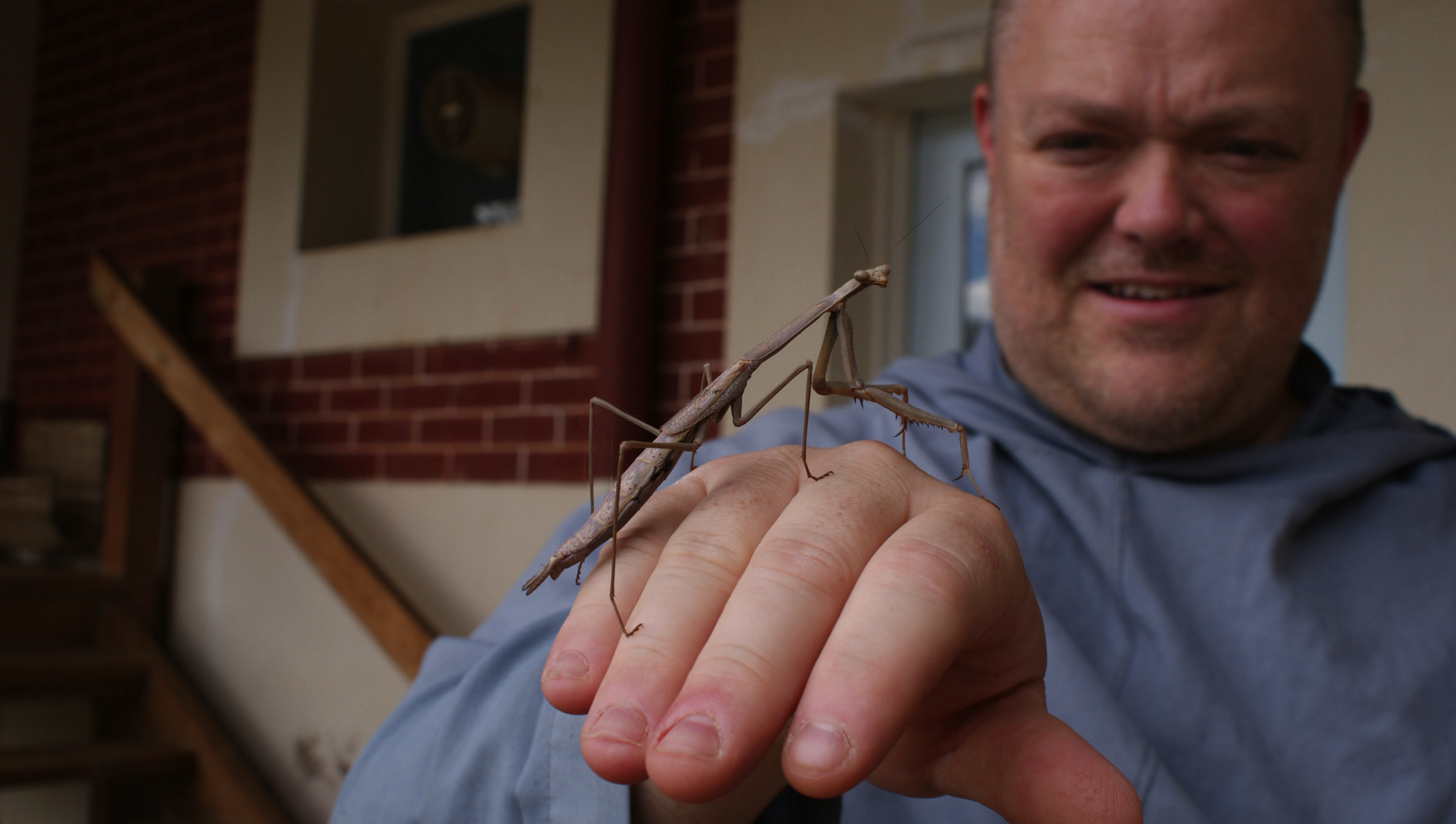 Praying mantis found at retreat house